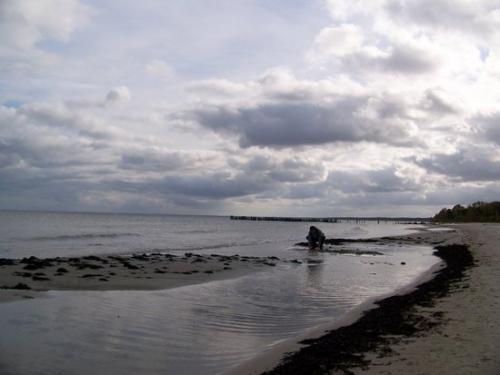 Rigaer Bucht (100_0660.JPG) wird geladen. Eindrucksvolle Fotos aus Lettland erwarten Sie.
